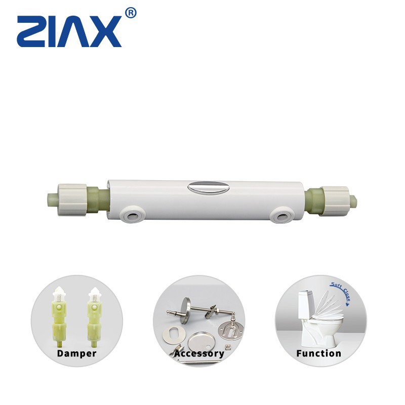 damp around toilet base